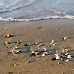 In 24437 Apartman Bibione