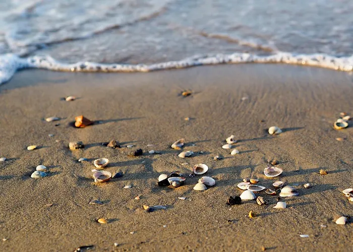 In 24437 Appartamento Bibione